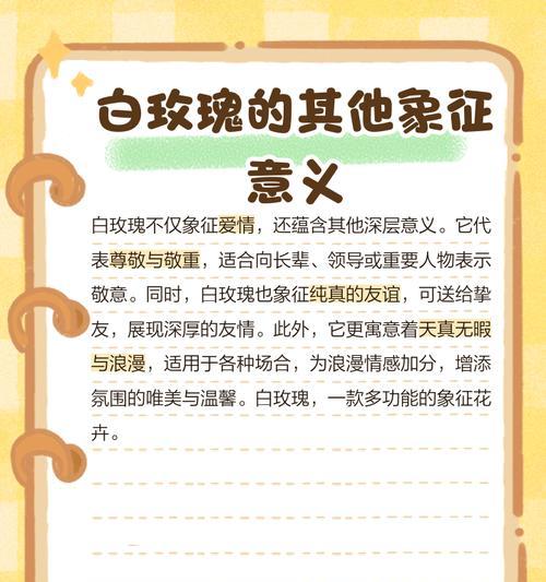 米白玫瑰的花语有何独特之处？