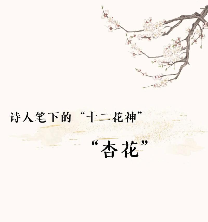 杏花的花语和象征意义有哪些？