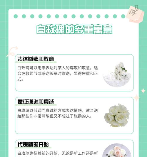 带刺白玫瑰的花语有何深意？