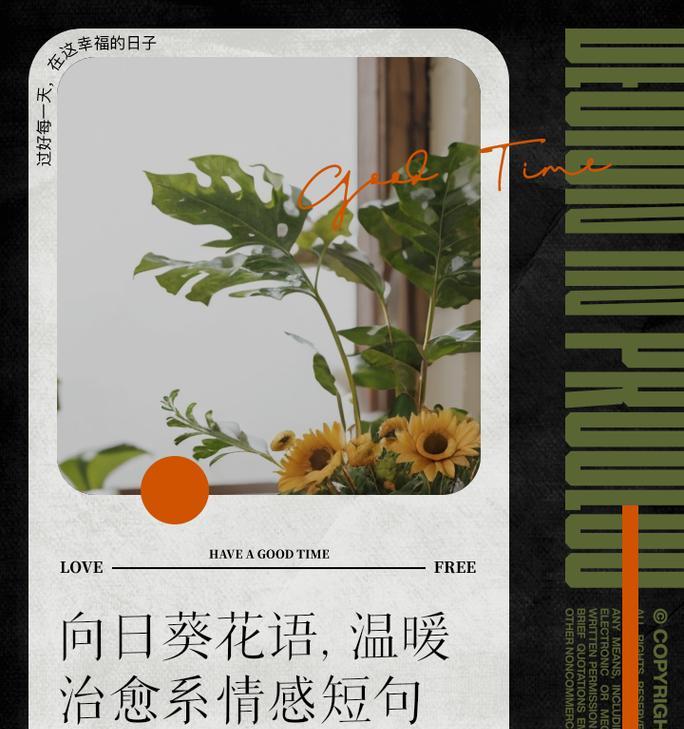 哪些花语表达了期望的情感？