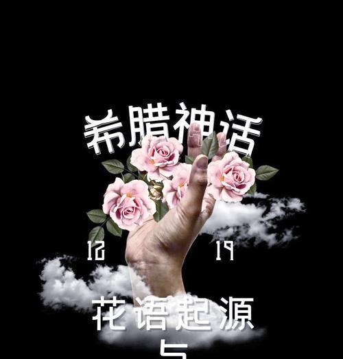 哪些花语表达了期望的情感？