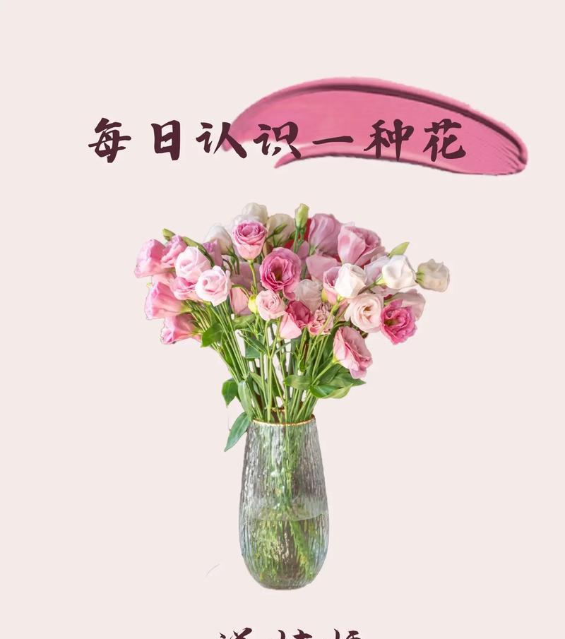 波浪白桔梗的花语有何含义？