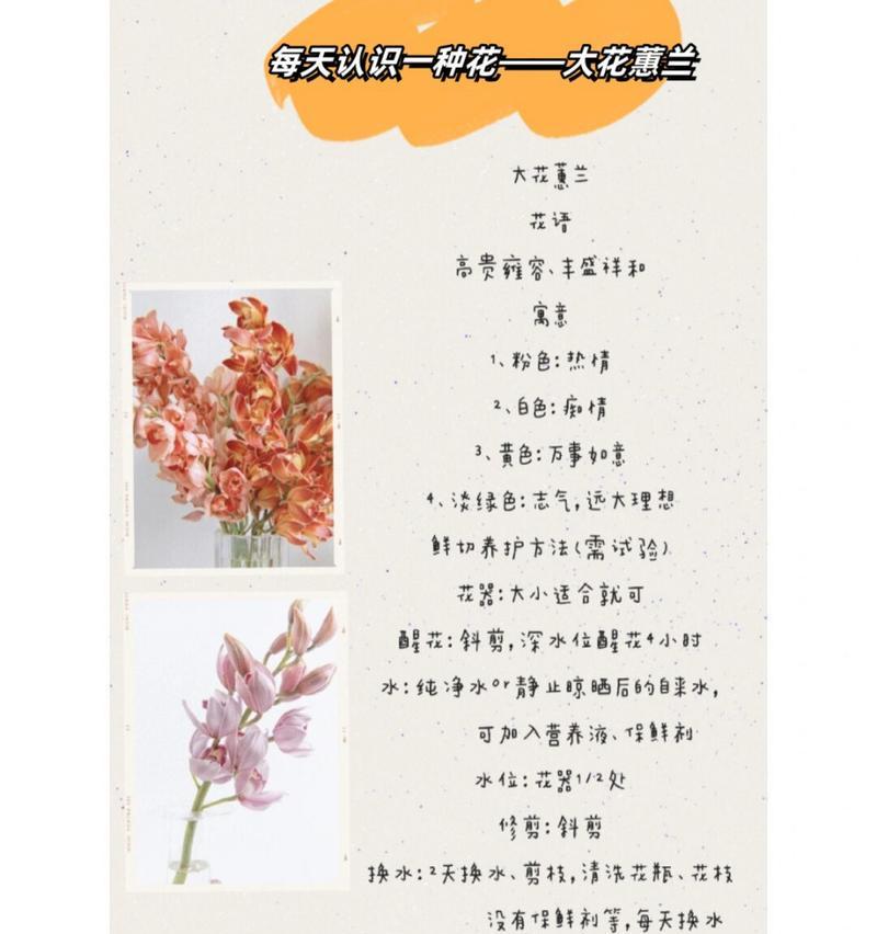 古诗中花的花语有哪些？它们如何表达情感？