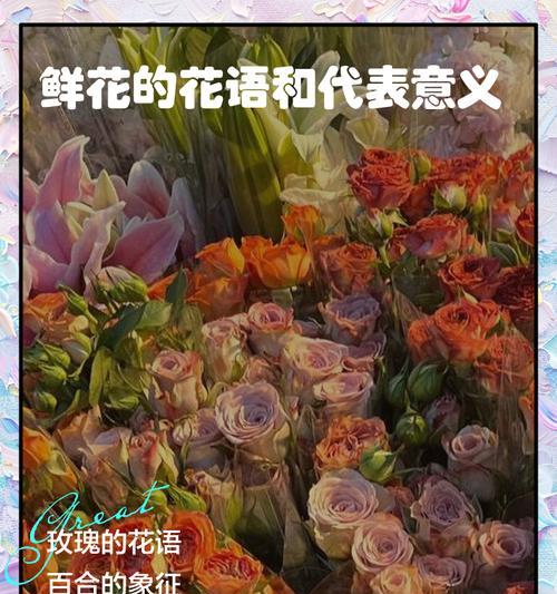 “会”的花语是什么？它代表了怎样的情感？