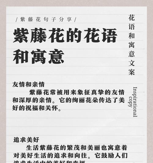 “会”的花语是什么？它代表了怎样的情感？