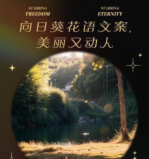 向日葵的全部花语有哪些？它们各自代表什么？
