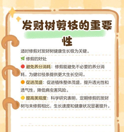 小发财树剪枝技巧有哪些？