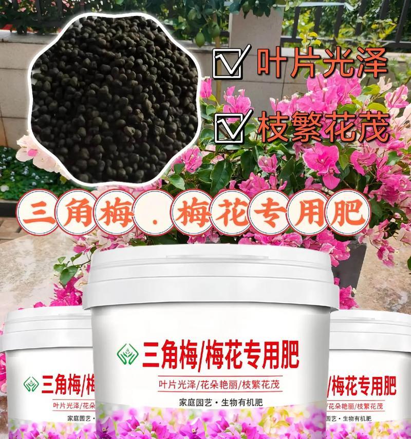 三角梅用什么肥？三角梅施肥的正确方法是什么？