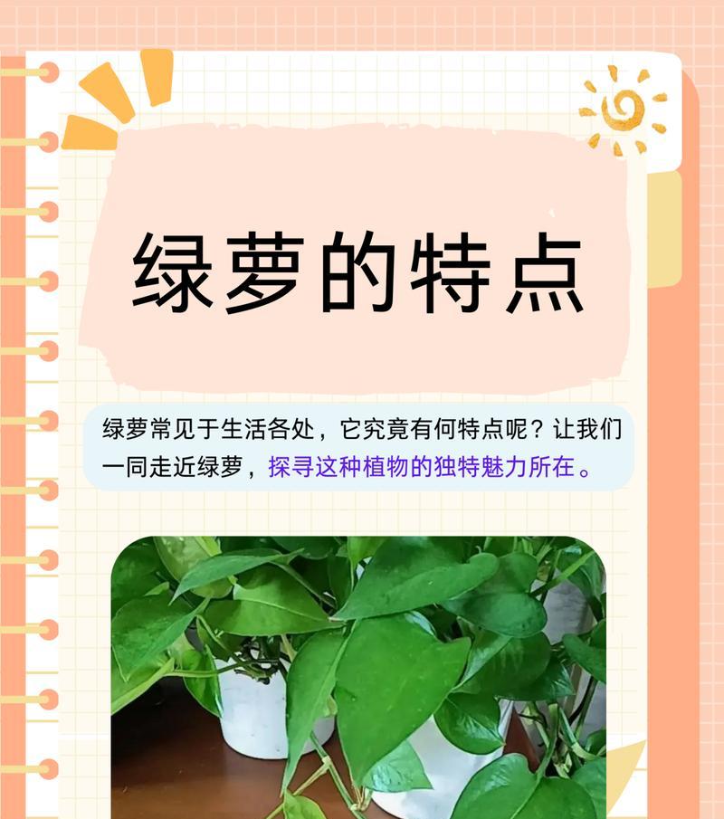 绿萝过长的修剪方法是什么？怎样控制其生长？