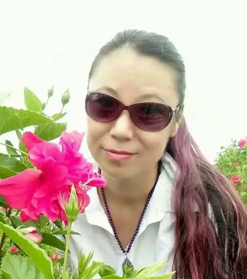 扶桑花烂根后的处理方法？