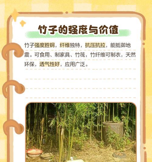 竹子为何不被归类为树？竹子与树木的主要区别是什么？