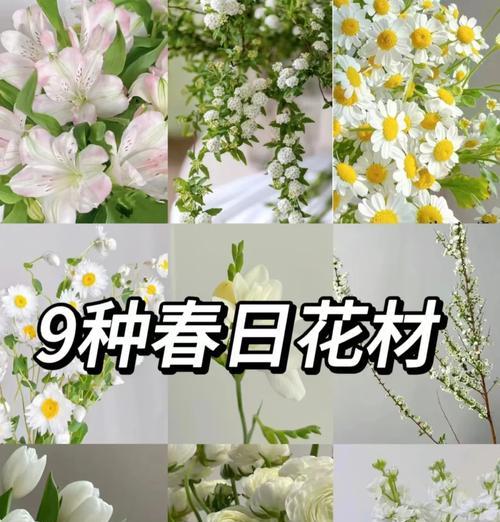 花品种介绍？有哪些美丽的花值得我们了解？