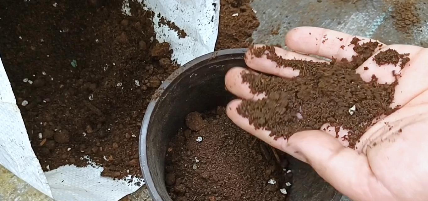 花盆里装什么土？选择适合植物的土壤类型是什么？