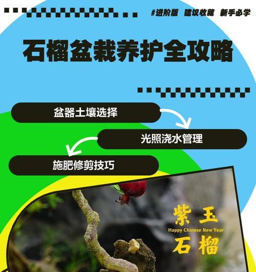 石榴盆景冬季养护技巧有哪些？