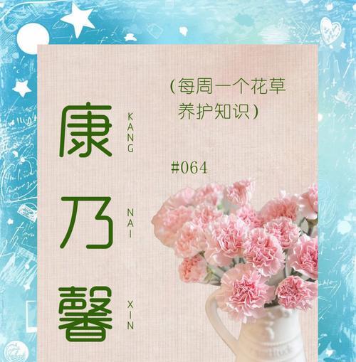 康乃馨花的养殖技巧有哪些？