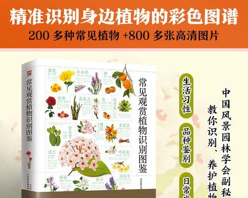 有哪些花卉的名称？如何识别常见的室内花卉？