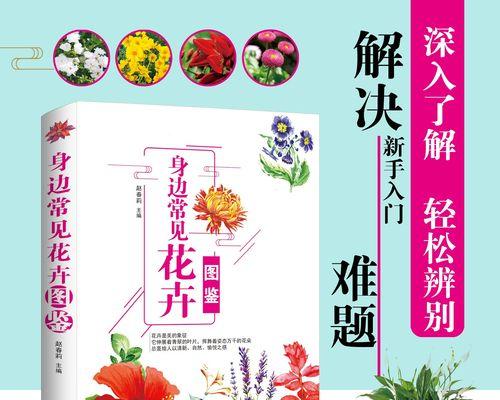 有哪些花卉的名称？如何识别常见的室内花卉？