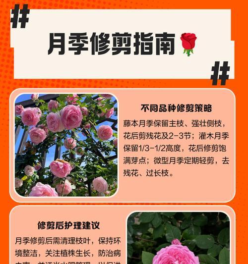 花卉修剪技巧和剪枝后的处理方法是什么？