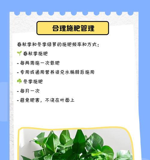 绿萝快速生长秘诀？