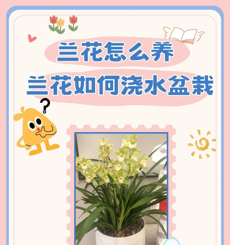 盆栽浇水的正确方法是什么？