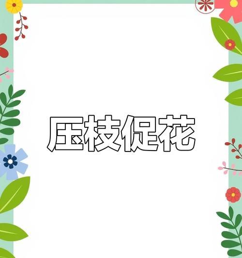 月季花压条繁殖的步骤是什么？