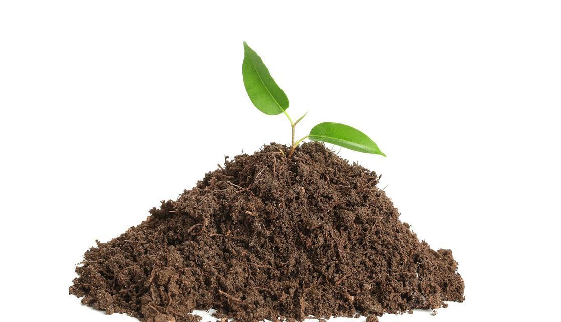 植物营养土如何配制？配制方法是什么？