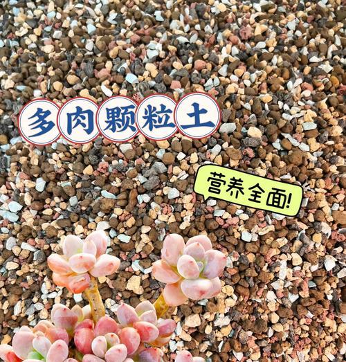 植物营养土如何配制？配制方法是什么？