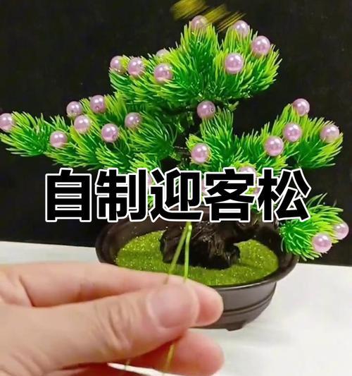 盆景制作步骤是什么？初学者如何制作盆景？