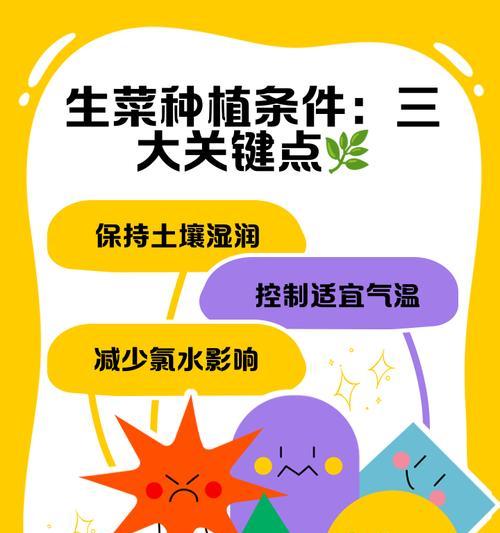 生菜的种植步骤和技巧有哪些？