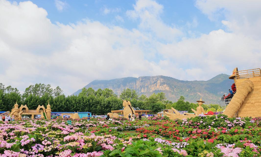 昆明市的市花是什么？昆明市花的象征意义有哪些？
