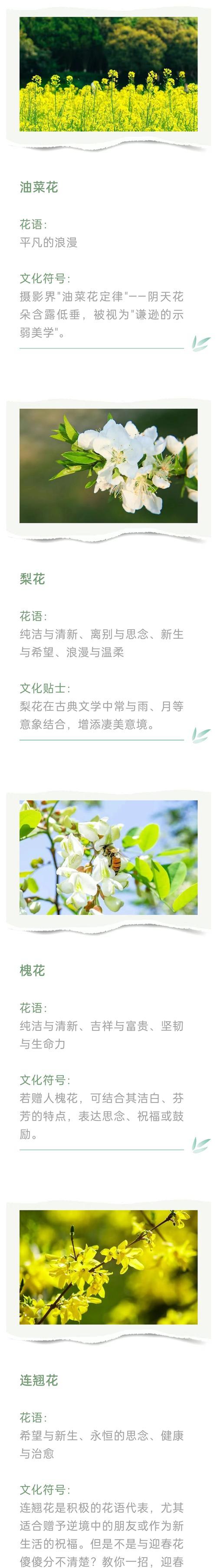 膨珊瑚生长过快如何控制？
