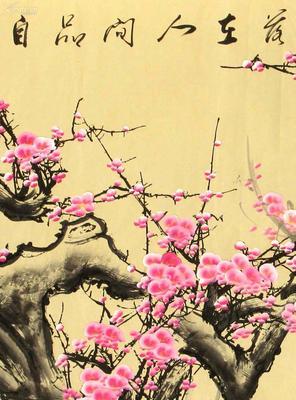 梅花有哪些品种？梅花的形态特征是什么？