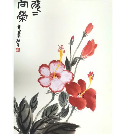 扶桑花插扦繁殖的正确步骤是什么？