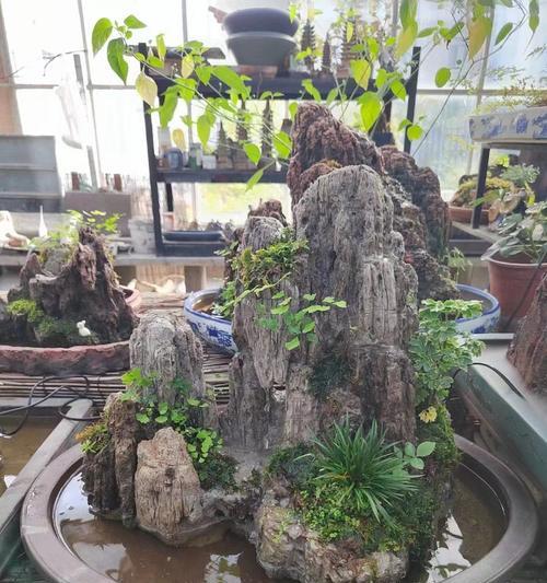 假山盆景制作的步骤是什么？