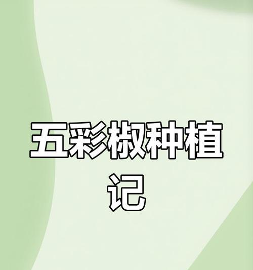 五彩椒种植的步骤和技巧？