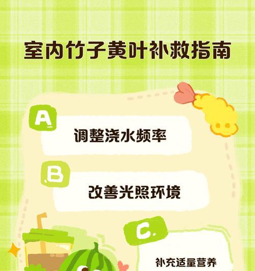 移栽竹子后的浇水管理是什么？