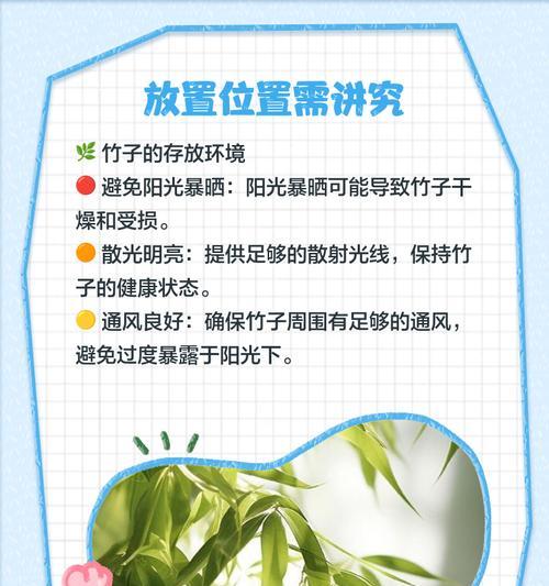 移栽竹子后的浇水管理是什么？