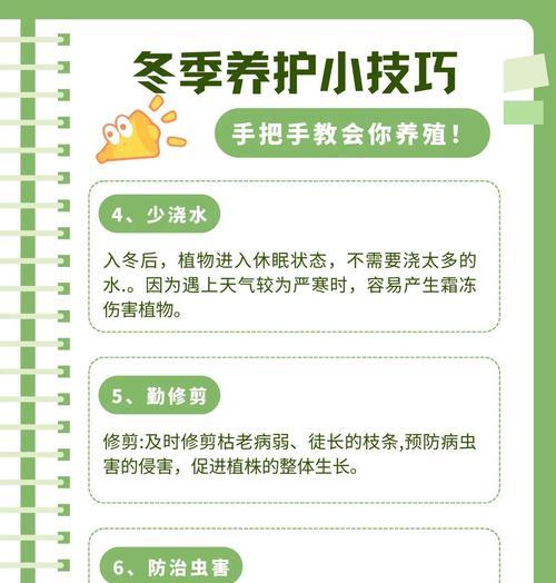 家养植物冬季如何过冬？防冻措施有哪些？