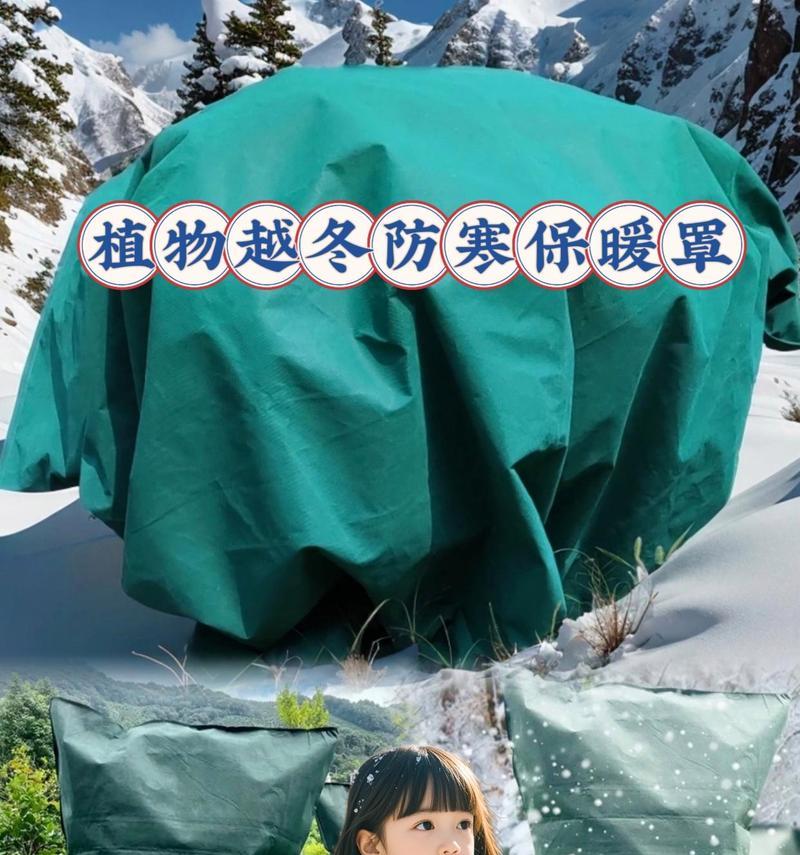家养植物冬季如何过冬？防冻措施有哪些？