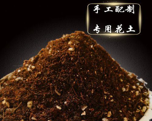 养花用什么土壤最好？选择花土的技巧有哪些？