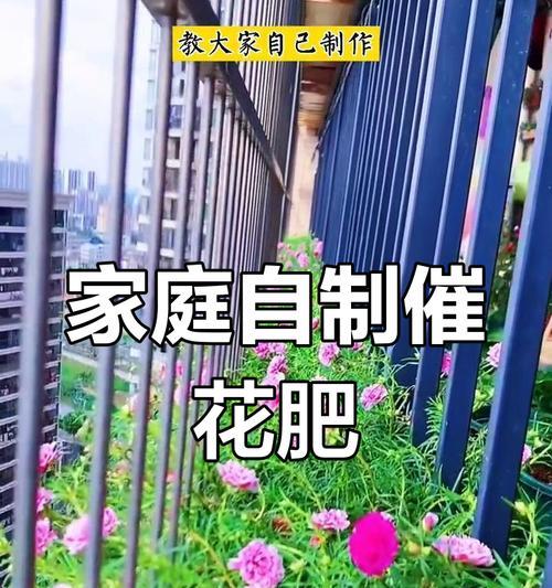 自制花肥的步骤和注意事项有哪些？