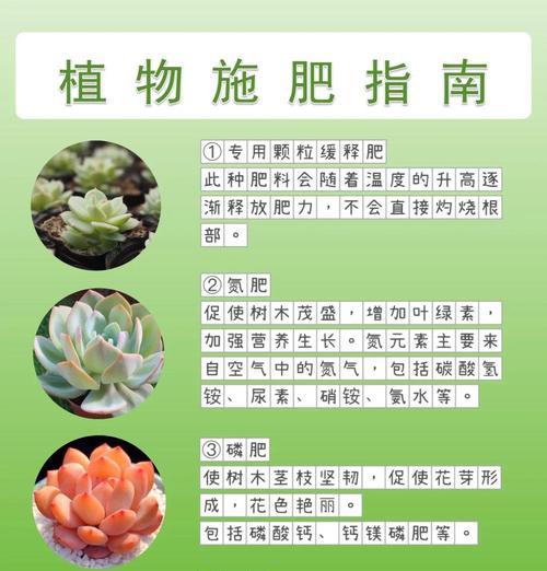 自制花肥的步骤和注意事项有哪些？