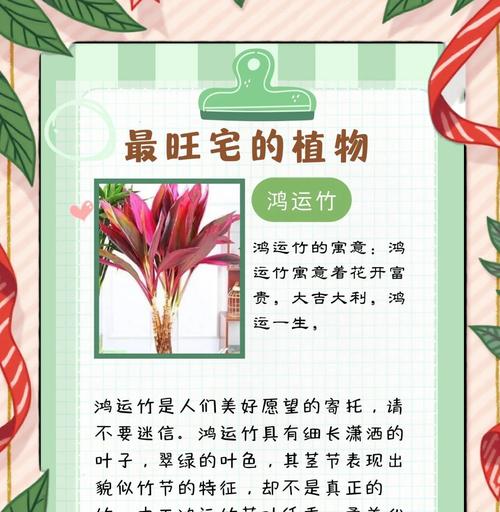 竹子象征着什么意义？它在中国文化中的地位如何？