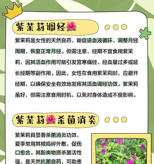 紫茉莉的养殖方法是什么？如何确保紫茉莉的健康生长？