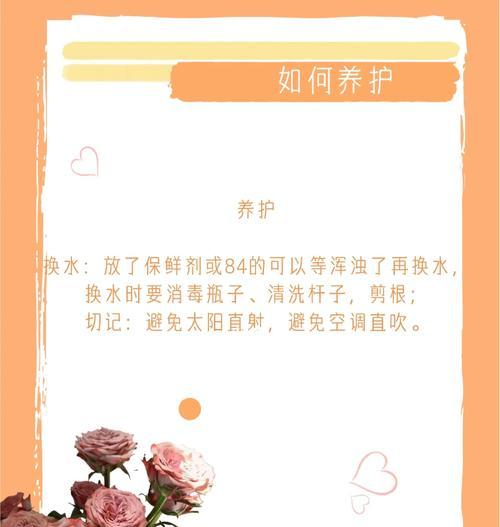 鲜花的养护技巧和常见问题是什么？