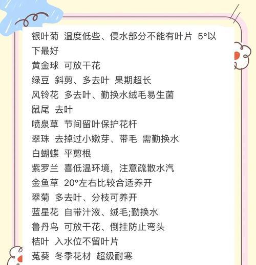 鲜花的养护技巧和常见问题是什么？