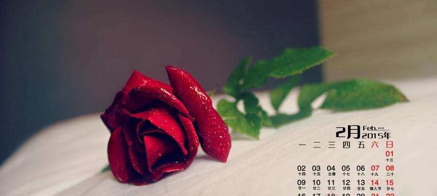 红玫瑰花的象征意义及文化传承（红玫瑰的浪漫与热情）