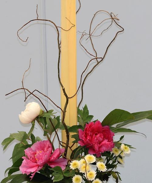 牡丹花插枝能活吗？如何正确进行插枝操作？
