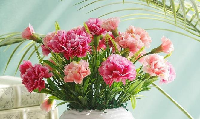 康乃馨花语（爱的代表）