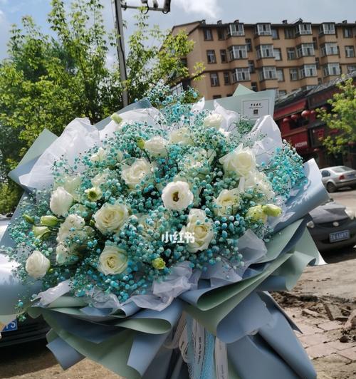 白色满天星花的美丽与寓意（星辰之花的纯洁与希望）